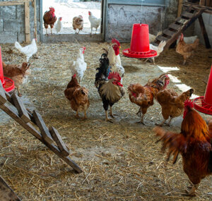 24ad93f6181b0b877bf312a6c3ec13ea6ab9ee1c