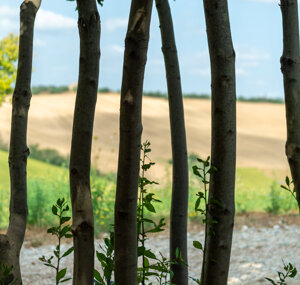 61dc4821dcdeecf8b69117874bfcaef93a576d49