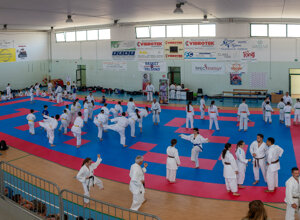 dsc_1979.jpeg