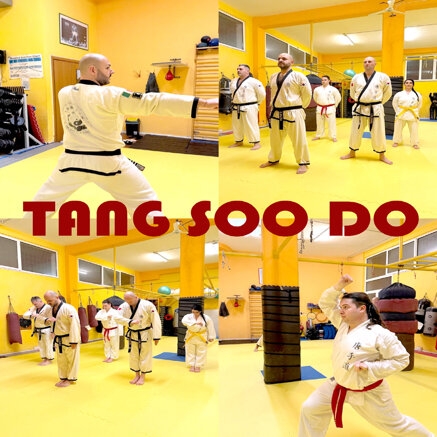 tang soo do scritta.jpeg tang soo do scritta.jpeg