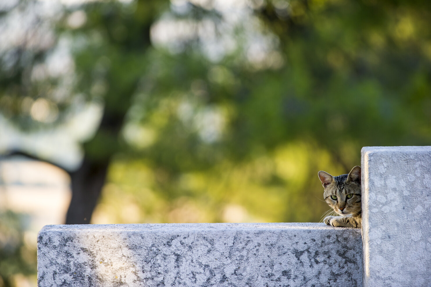 _dsc1045.jpeg