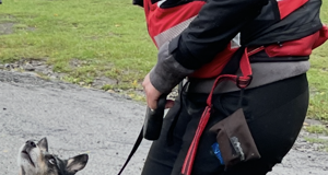 img_8210.jpeg img_8210.jpeg