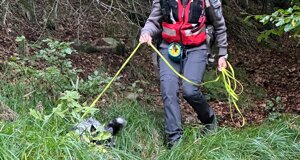 54a5919a-a99d-447b-a46e-819a6435f24b.jpeg 54a5919a-a99d-447b-a46e-819a6435f24b.jpeg