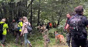 cane1.jpeg cane1.jpeg