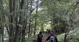 324a331d-5b37-4f55-af4b-2a96653964bc.jpeg 324a331d-5b37-4f55-af4b-2a96653964bc.jpeg