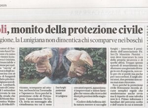 nazione%20funghi%20attenzione%2007092025.jpeg