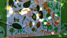 img_20250803_074901.jpeg