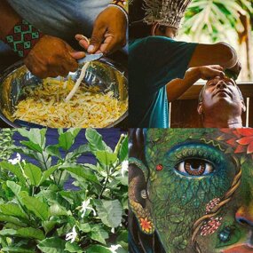 SANANGA LA MEDICINA NATURALE DELLA FORESTA AMAZZONICA