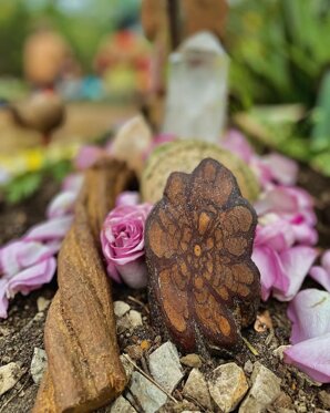 cerimonia sciamanica piante di potere, cerimonia ayahuasca