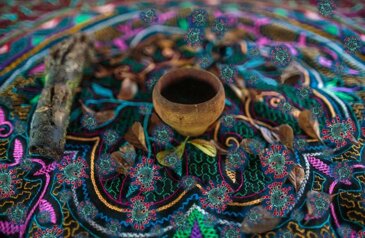 cerimonia sciamanica piante di potere, piante medicina amazzonia,cerimonia ayahuasca