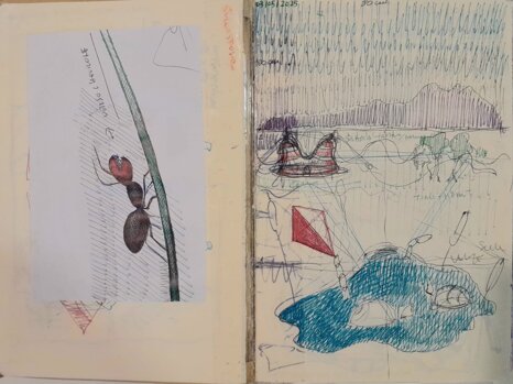 whatsapp image 2026-04-26 at 15.14.55.jpeg