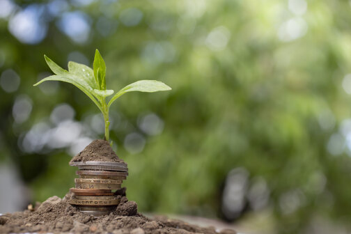 6a83e71958337167919a5bab76254934c1afb533