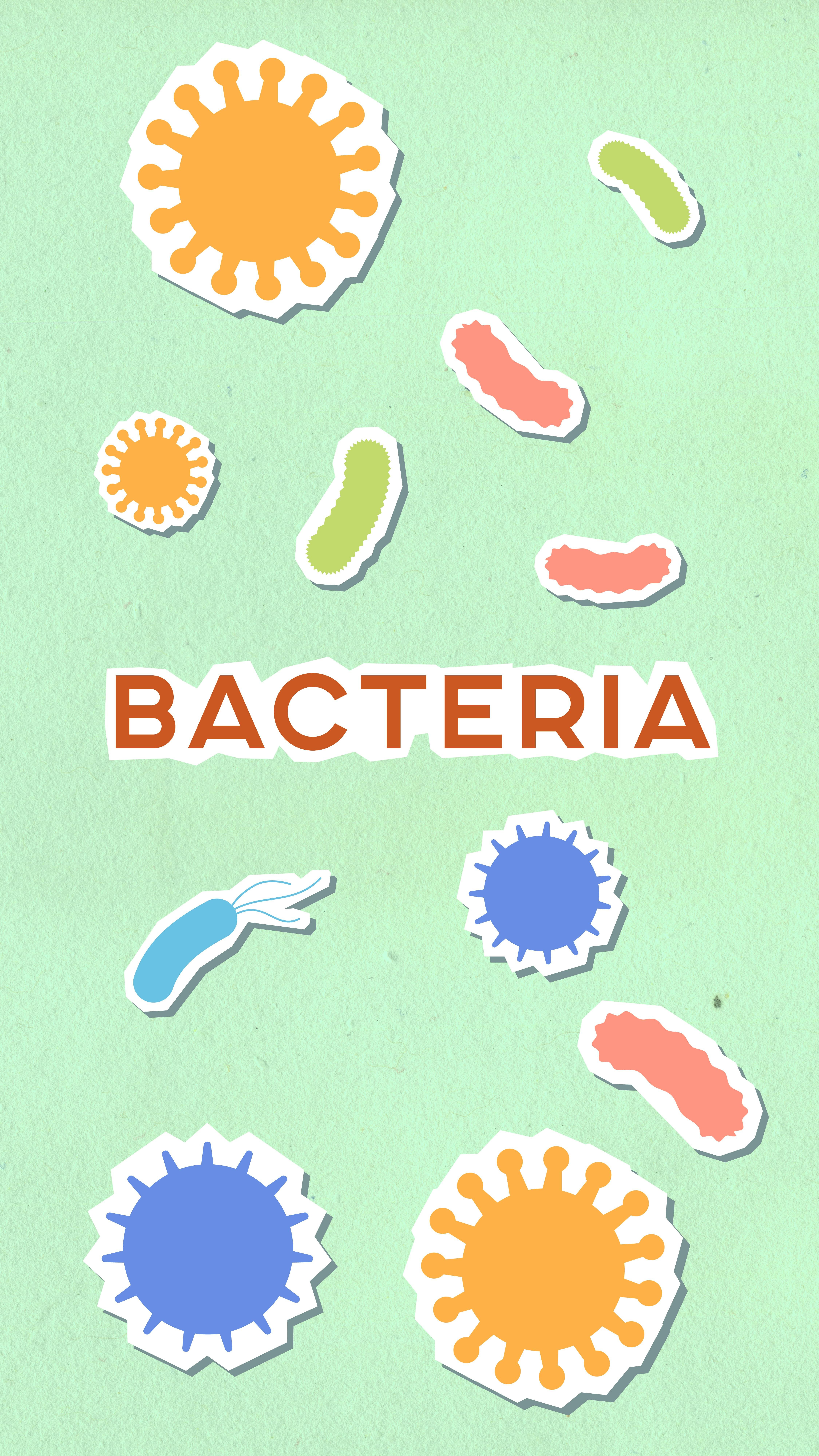 batteri-menopausa-gonfiore.jpeg