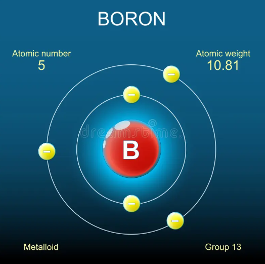 boro-osteoporosi-menopausa.png