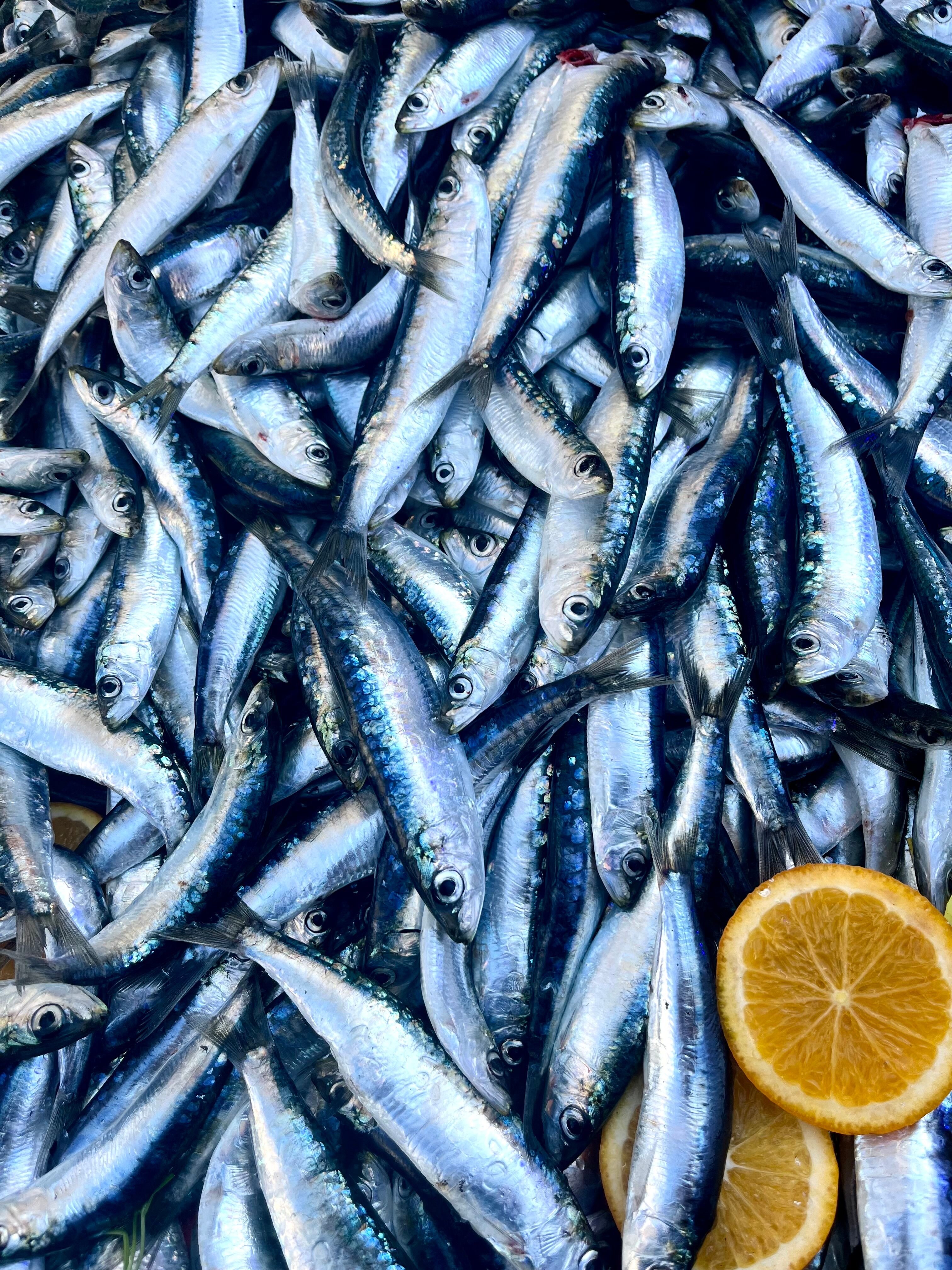 pesce-azzurro-menopausa-secchezza.jpeg pesce-azzurro-menopausa-secchezza.jpeg
