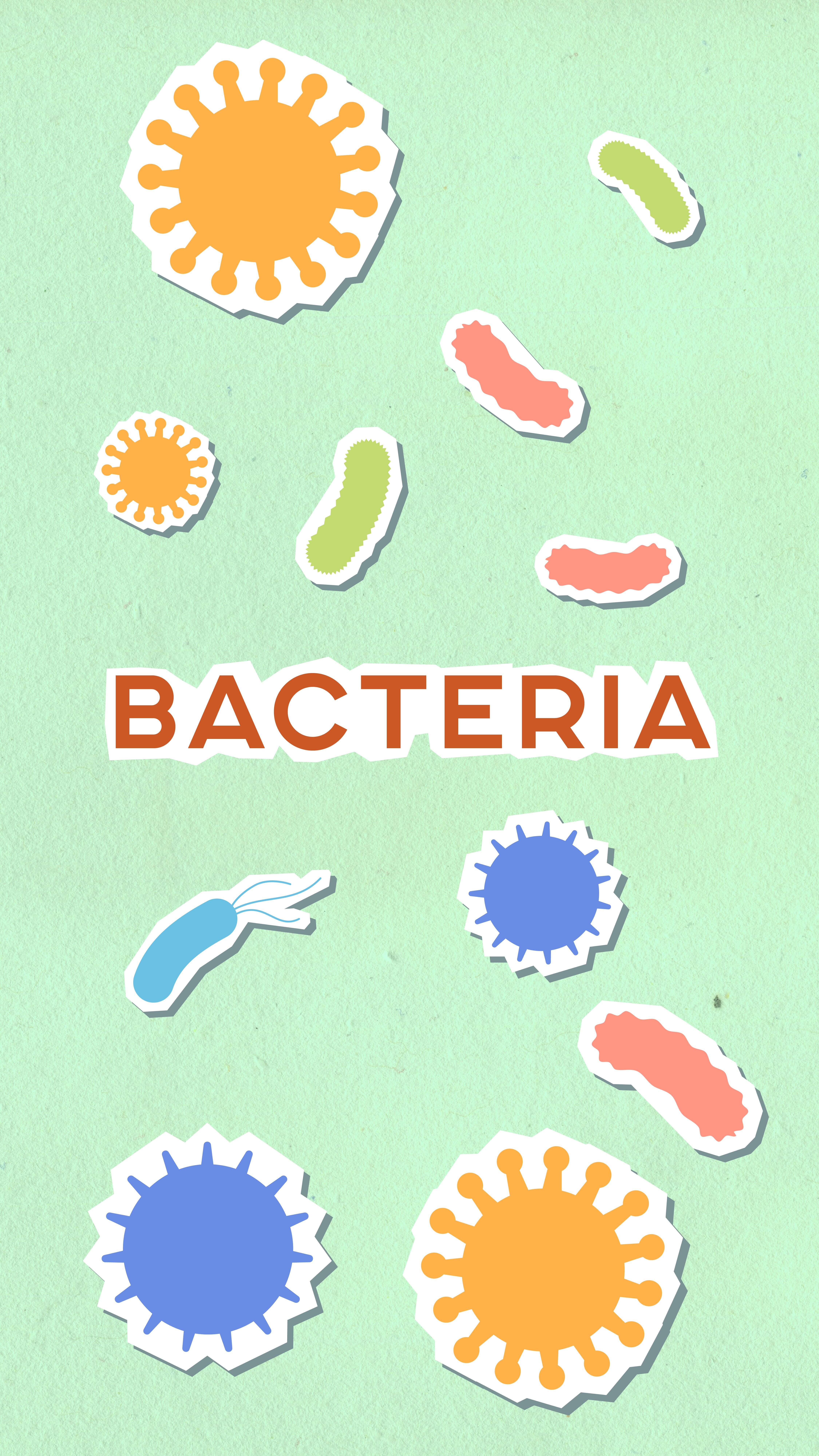 microbiota-berberina-menopausa.jpeg microbiota-berberina-menopausa.jpeg