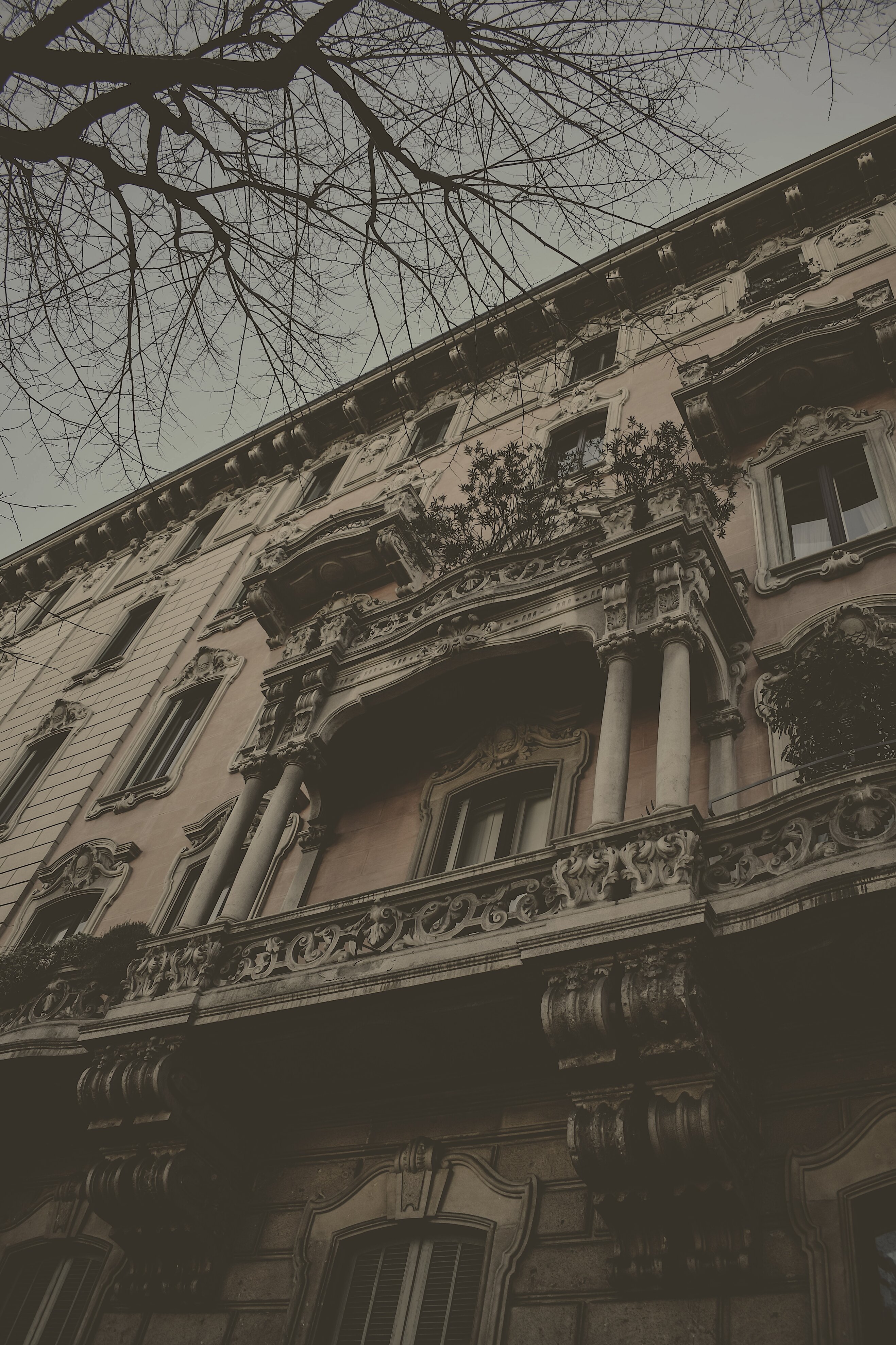pexels-eva-bronzini-6216498.jpeg