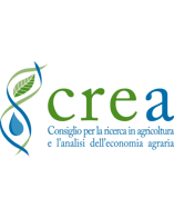 progetto senza titolo-3