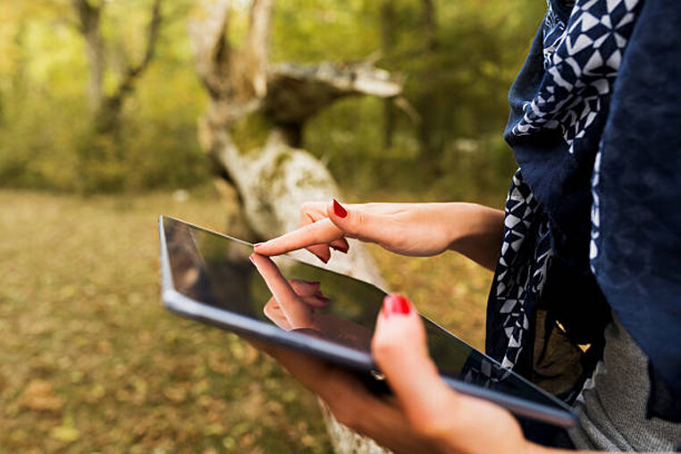 istockphoto-462088401-612x612.jpeg