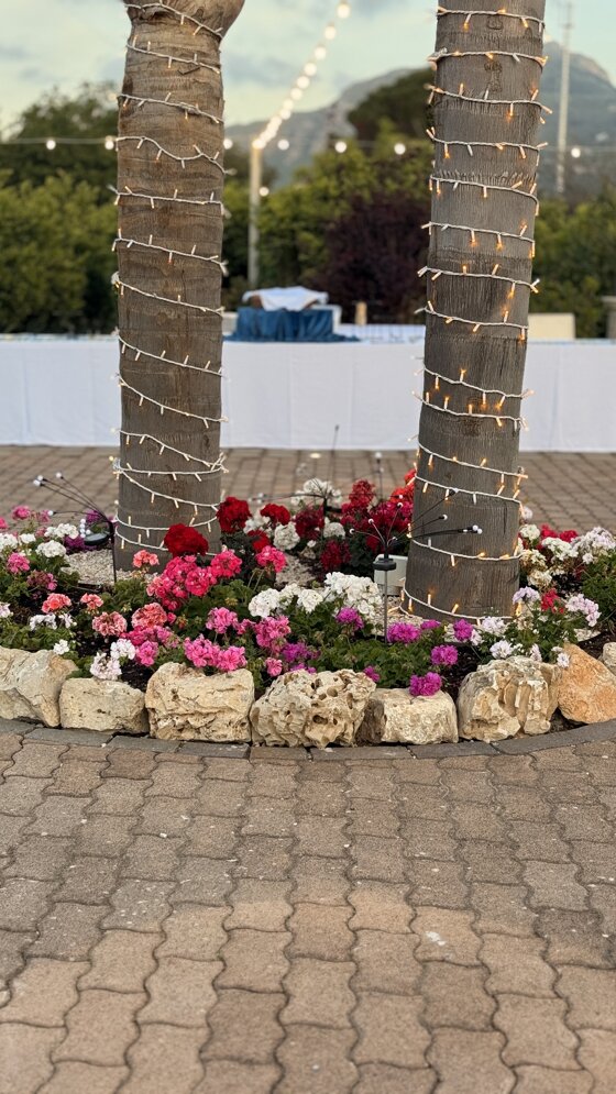 img_1669.jpeg img_1669.jpeg