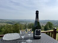 img_8891.jpeg img_8891.jpeg