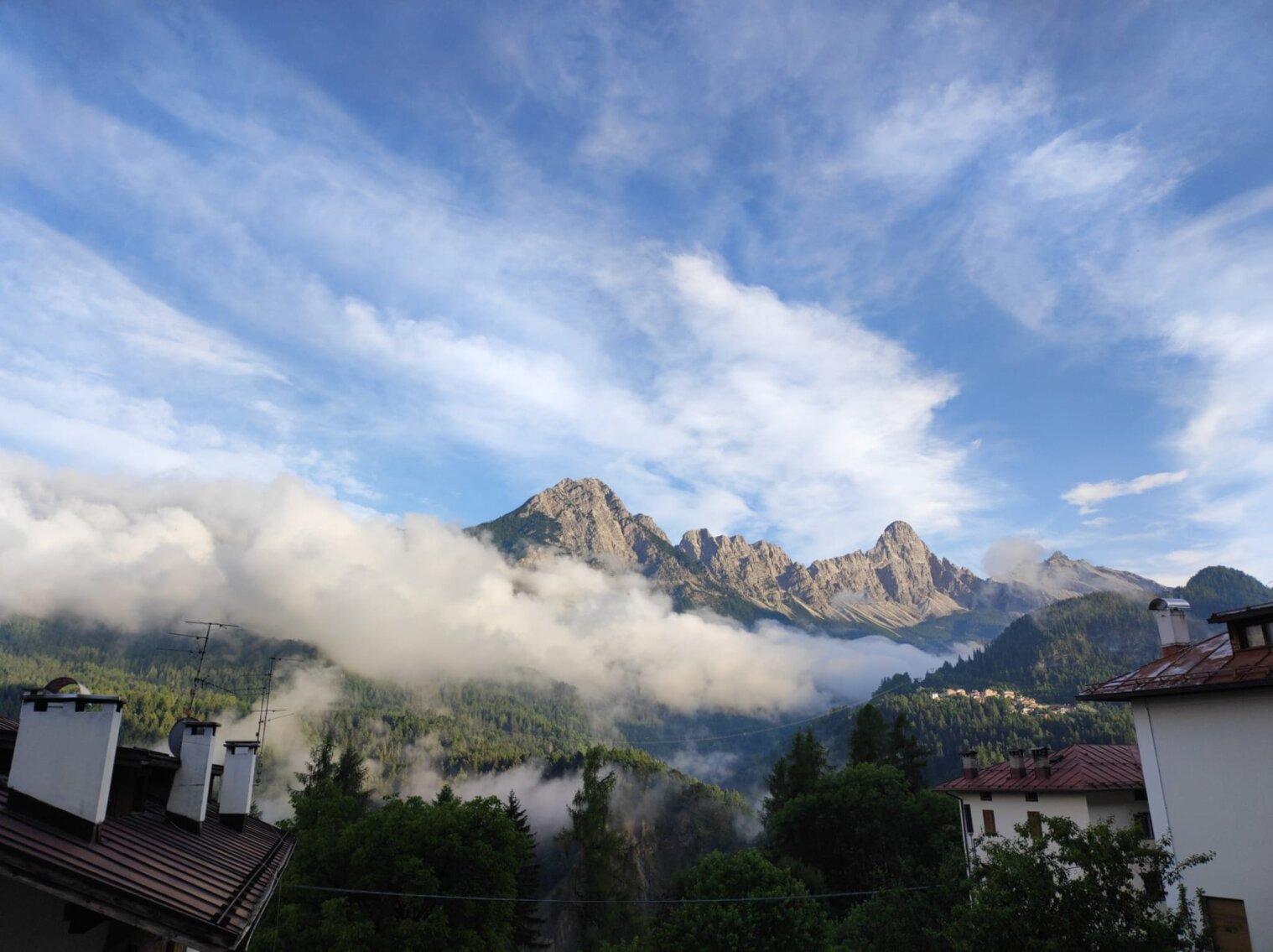 whatsapp image 2025-08-19 at 12.04.10 (1).jpeg