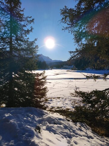 whatsapp image 2025-12-16 at 17.08.03.jpeg