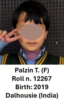 12267 - palzin.jpeg 12267 - palzin.jpeg