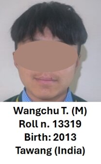 13319 - wangchu.jpeg 13319 - wangchu.jpeg