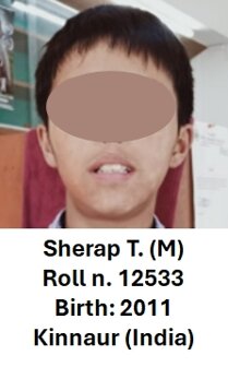 12533 - sherap.jpeg 12533 - sherap.jpeg