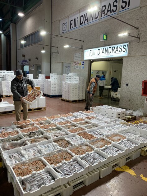 img_7389.jpeg img_7389.jpeg