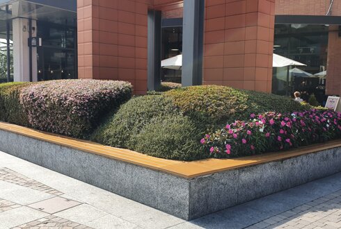 20191010_132336.jpeg