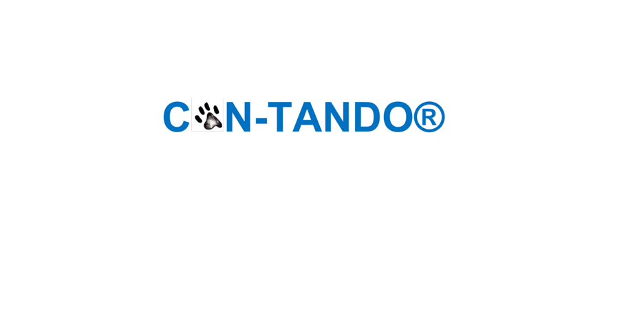 progetto senza titolo (6)