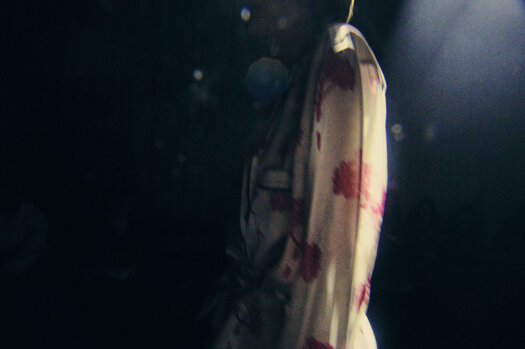 telma_25fw_bs_0053.jpeg