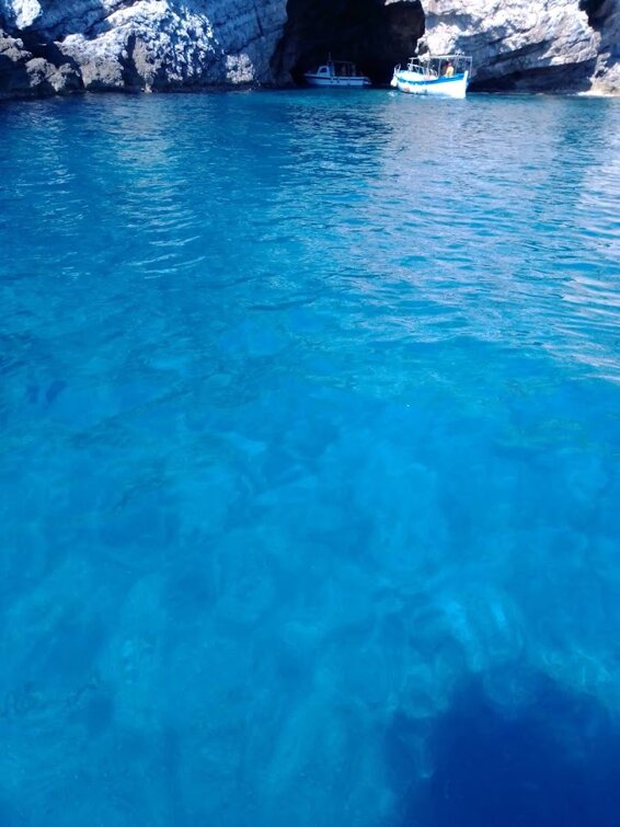 d24a4d07-1b05-4596-8c8d-f85603afd858