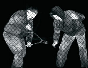 Descrizione immagine