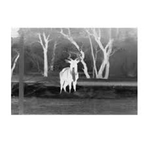 Descrizione immagine