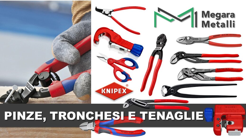 diapositiva10.jpeg