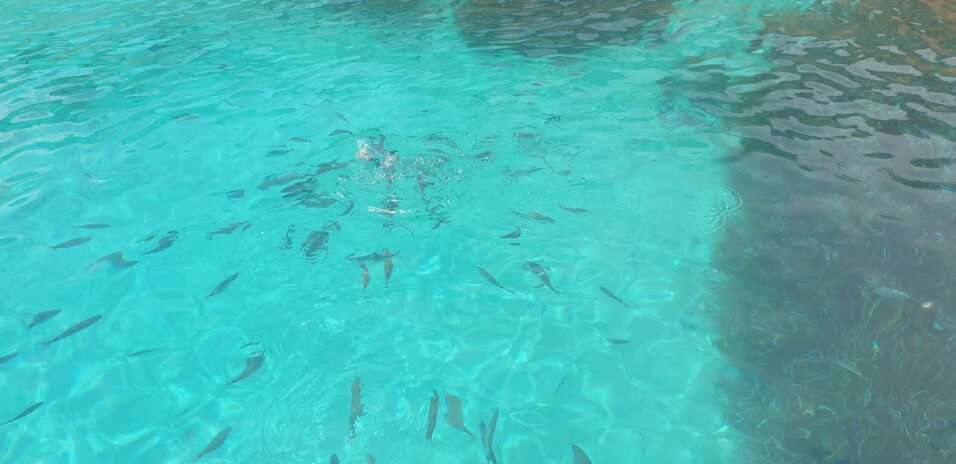 023c7abf-3552-419f-99d6-3ae03c1c543a