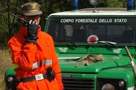 Descrizione immagine