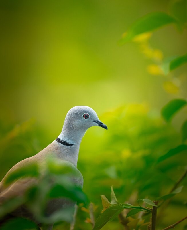 pxb_10091628_488f63f28992dfb51ca2739cf4eeec2f