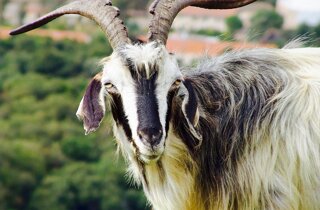 pxb_238010_23dca28ef0fdbe12d5d8f60f4c5379a0 pxb_238010_23dca28ef0fdbe12d5d8f60f4c5379a0