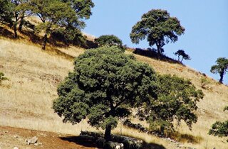 pxb_4994002_b2041f73f9c08b04dae1da7a98bc5dd8 pxb_4994002_b2041f73f9c08b04dae1da7a98bc5dd8