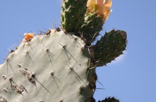 pxb_7326838_88d1c8eb86f9fc59e3ec01281eb31539 pxb_7326838_88d1c8eb86f9fc59e3ec01281eb31539