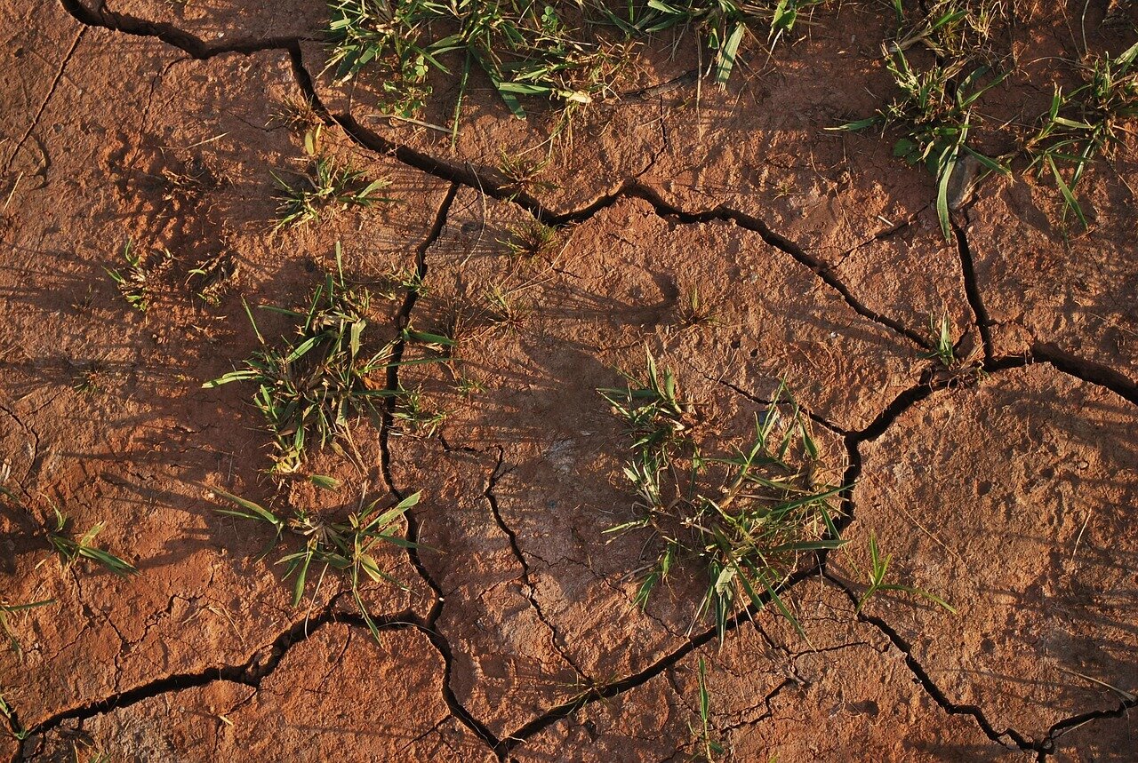 Siccità e Preoccupazioni Ambientali