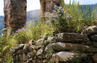 pxb_1972531_3f70e37322ed9d0d15f88aa13c9deaeb pxb_1972531_3f70e37322ed9d0d15f88aa13c9deaeb