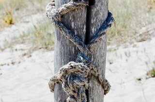 pxb_8050075_1926dde9cbdd3da7f5e73a58f820f35a pxb_8050075_1926dde9cbdd3da7f5e73a58f820f35a