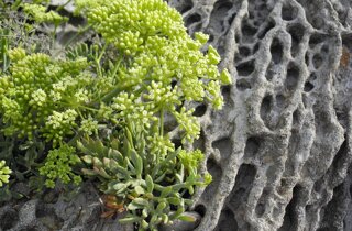 pxb_2277645_f9c30d4674dec7660c42fef8e73a1d54 pxb_2277645_f9c30d4674dec7660c42fef8e73a1d54