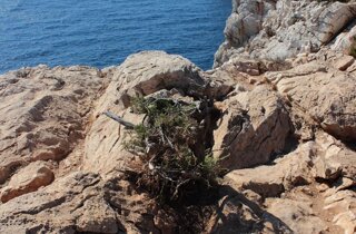 pxb_2951816_b1e8f045fc2266146d91636979d8d593 pxb_2951816_b1e8f045fc2266146d91636979d8d593