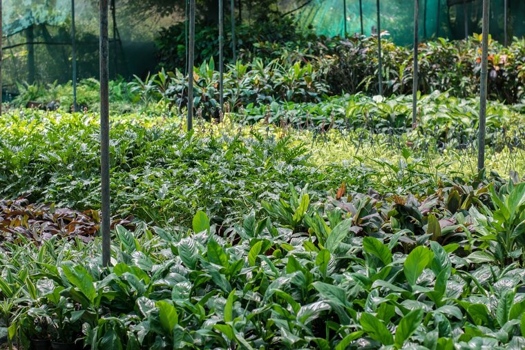 pxb_2664818_fb821c4012f7858d295410d25f431537 pxb_2664818_fb821c4012f7858d295410d25f431537